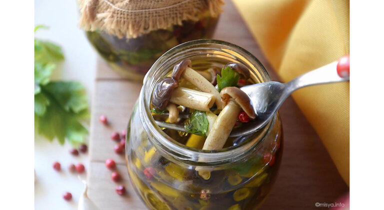 Le ricette di Misya