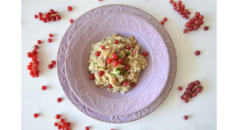 Le ricette di Misya