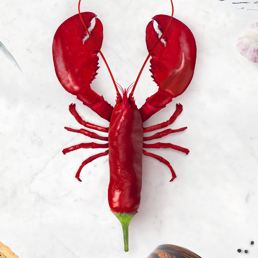stampa creativa con aragosta e peperoncino