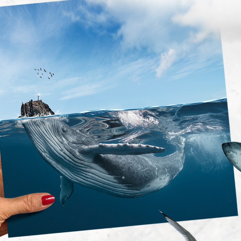 poster artistico con balena e Strombolicchio – stampa decorativa Cart0lina Design