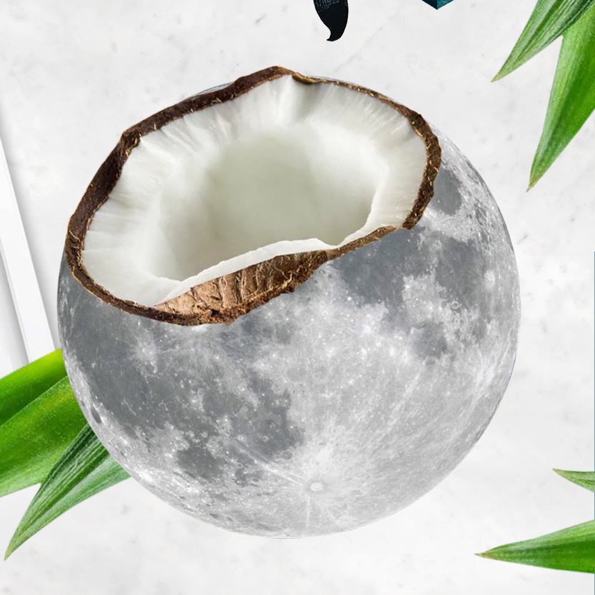 fotomontaggio creativo con una noce di cocco che sembra la luna